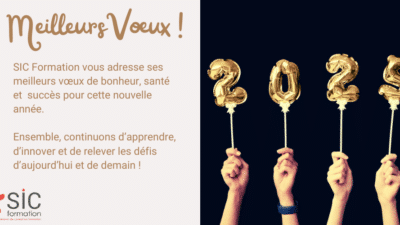 Meilleurs Voeux 2025